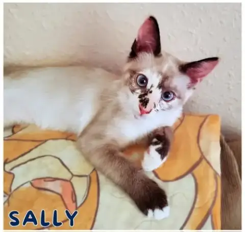 Sally photo 2