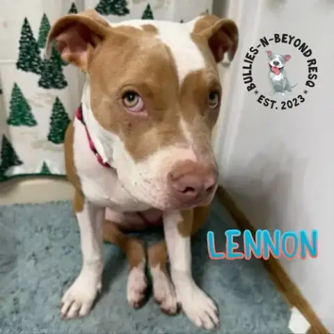 Lennon photo 2