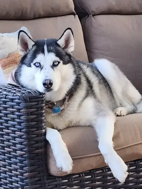 Siya photo 2