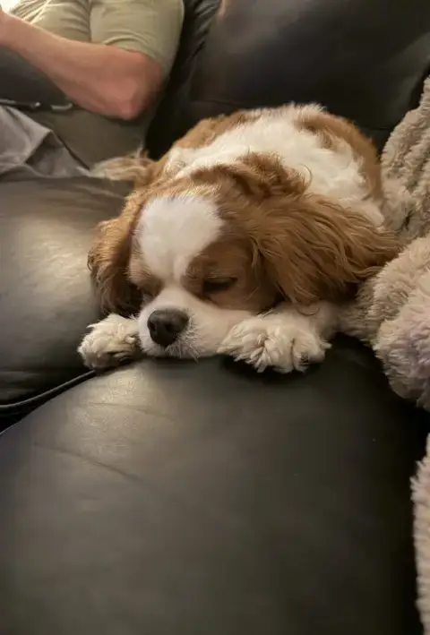 Jack photo 3
