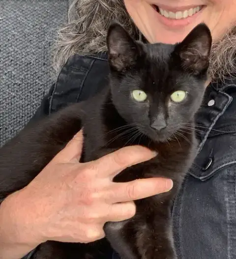 Pepper & Panther photo 3