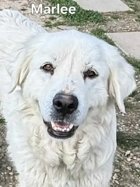 Marlee photo 3