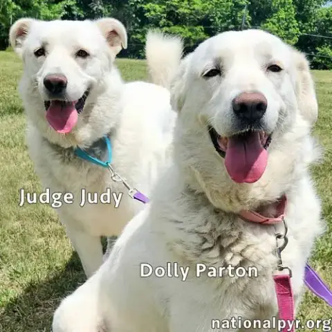 Judge Judy & Dolly Parton In Ky