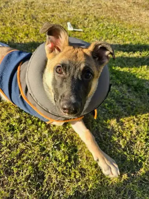 Tippy The Tripod