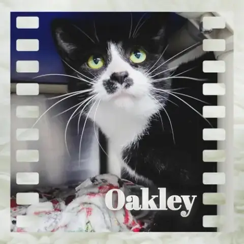 Oakley