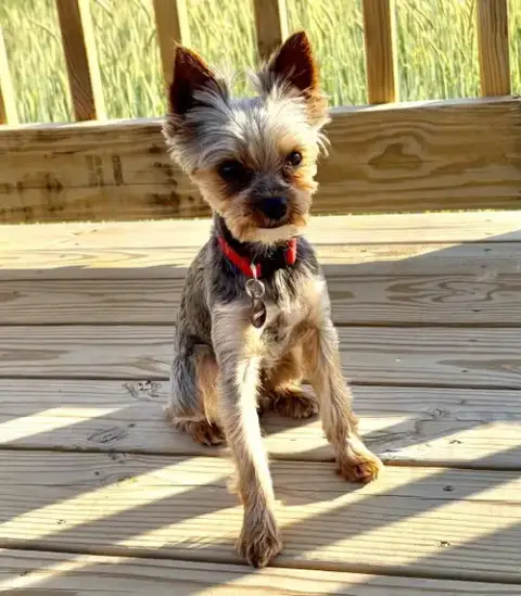 A Trevor photo 5