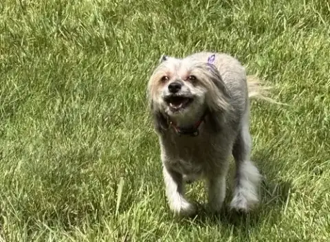 Sasha In Cincinnati Ohio photo 2