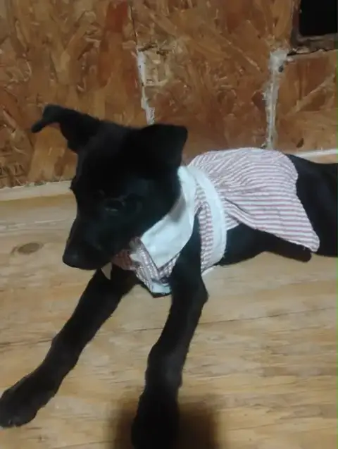 Zena photo 4