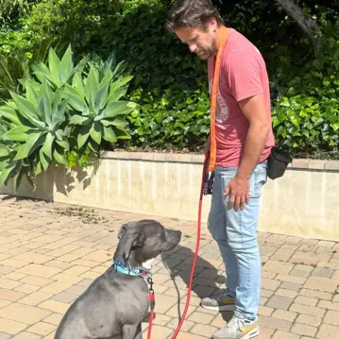 Scottie photo 4