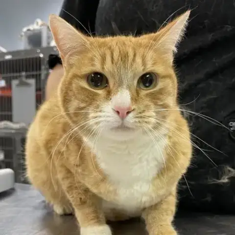 Rusty