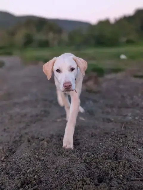 Mason photo 4
