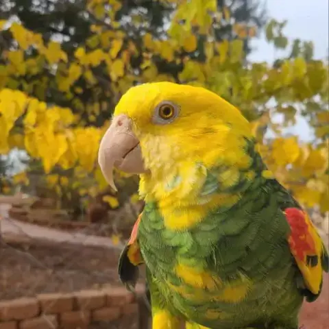 Mimi photo 2