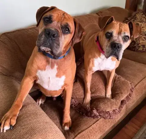 Sandy