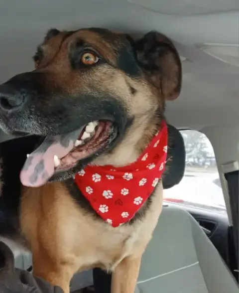Dex