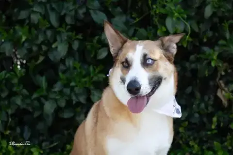 Chani photo 3