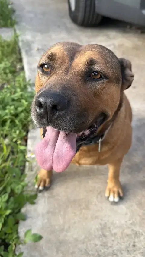 Courtesy Post: Roxy
