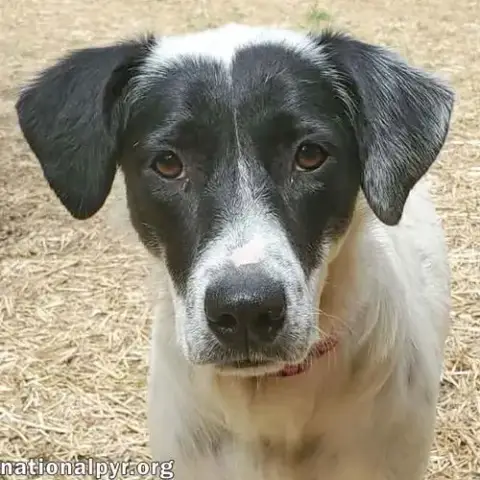 Sunnie In Ky