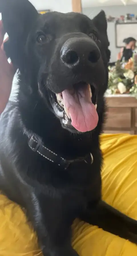Titus photo 4