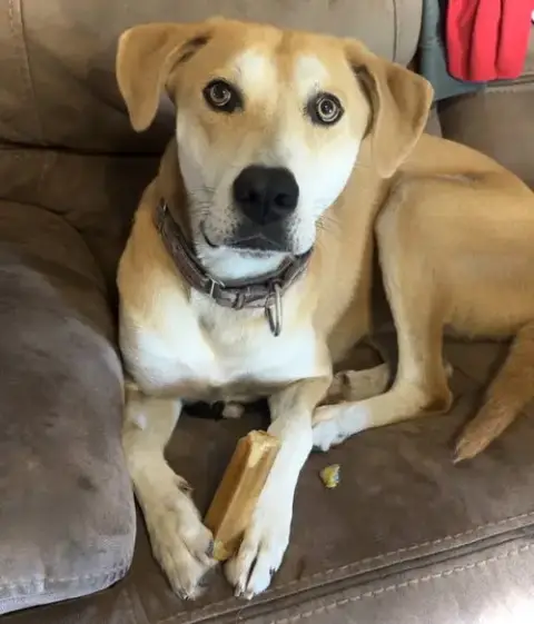 Tug