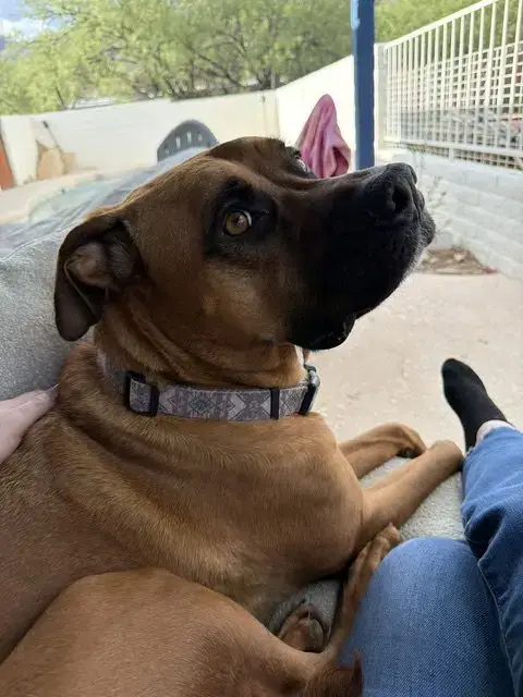 Molly #18 photo 2