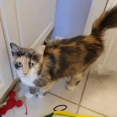 Esme