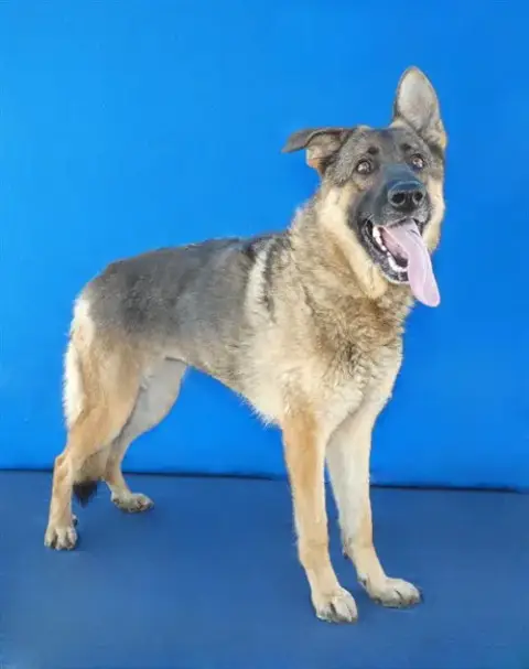 Sam