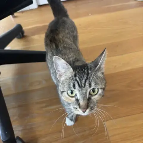 Delgato photo 2
