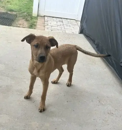 Ellie photo 2