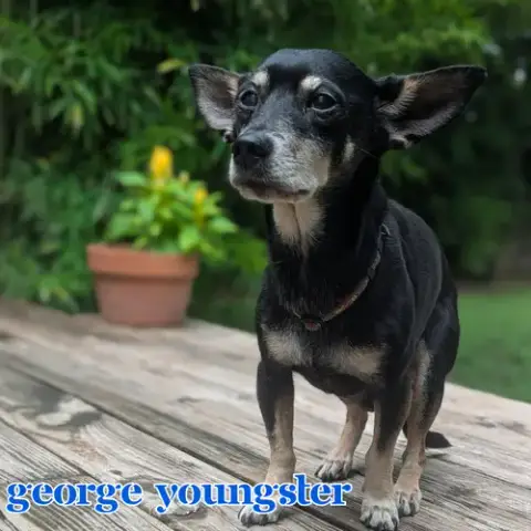 George Youngster photo 2