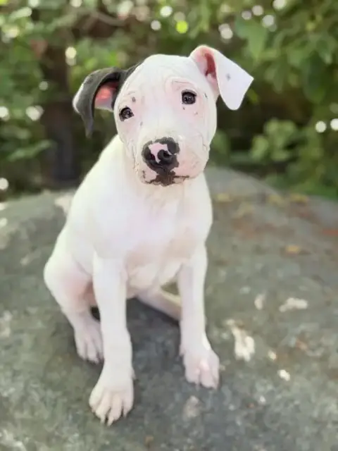 Darla photo 2