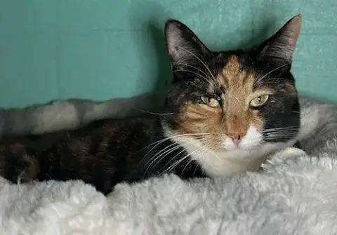 260407  Molly