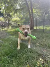 Ella photo 4