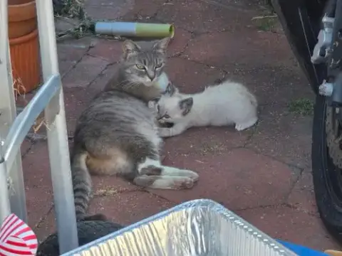 Meredith photo 5