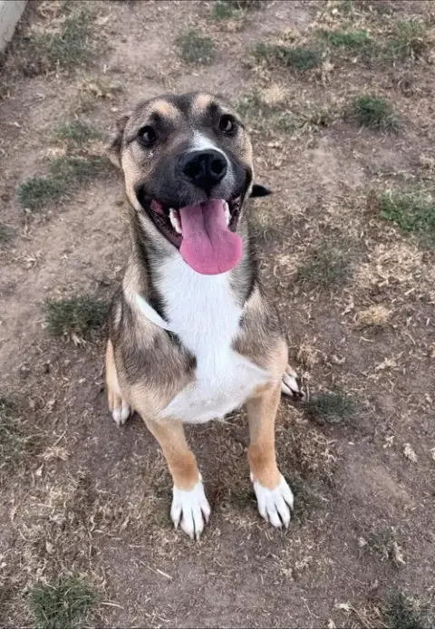 Lucy photo 2