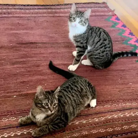 Patricia & Roseanna Arcat