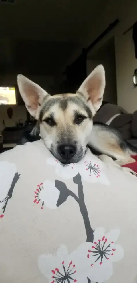 Holly photo 4