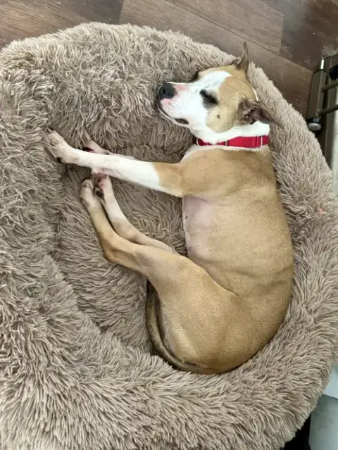Mitsy photo 3