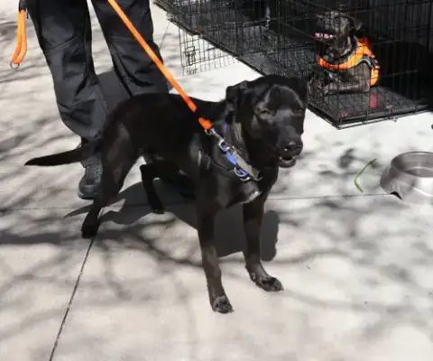 Sith