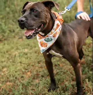 Logan photo 2
