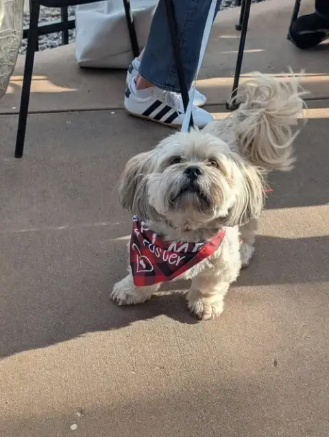 Winston photo 4