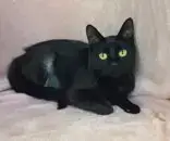 7002