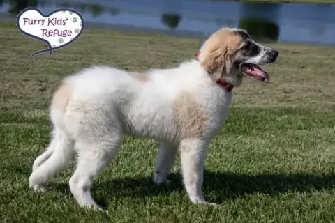Izzie photo 4