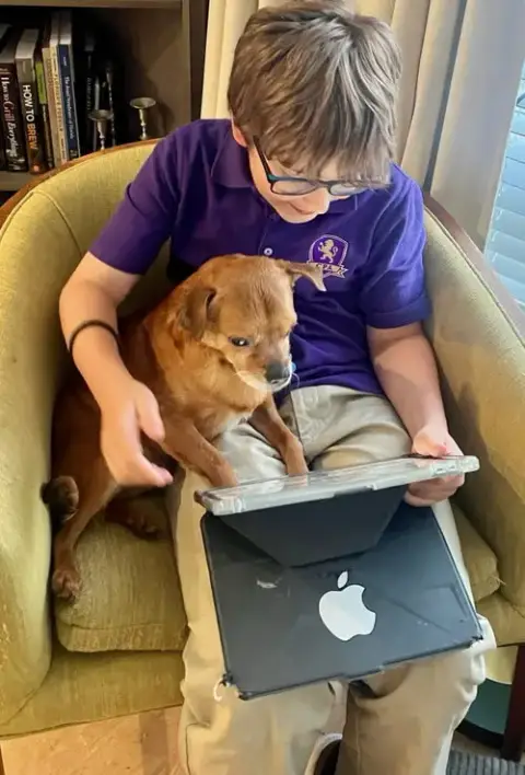 Gideon Therapy Dog photo 3