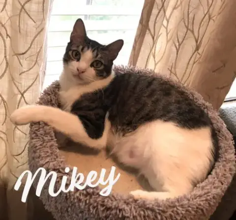 Mikey #He-Eats-Anything