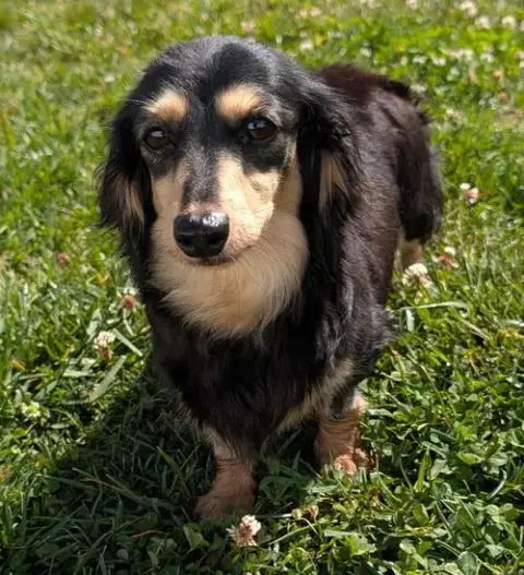 Skylar In Tn photo 2