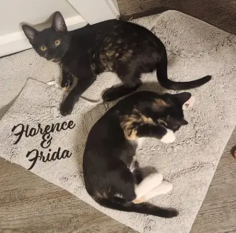 Florence & Frida #Bonded-Sisters
