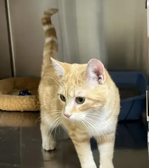 Winnie