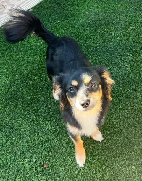 Rocket photo 4