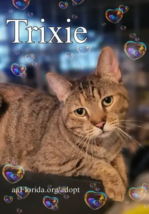 Trixie