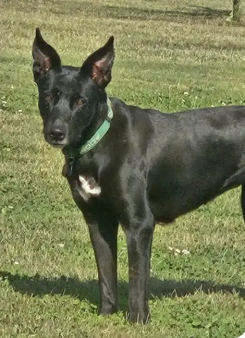 Evie photo 3